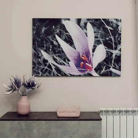 La Punta Bed and Breakfast 3*