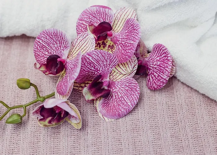 La Punta 3* San Giovanni La Punta