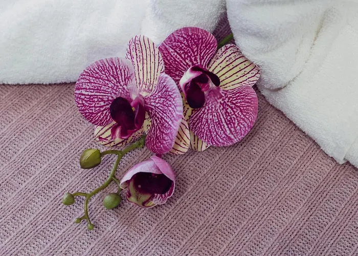 Bed & Breakfast La Punta San Giovanni La Punta